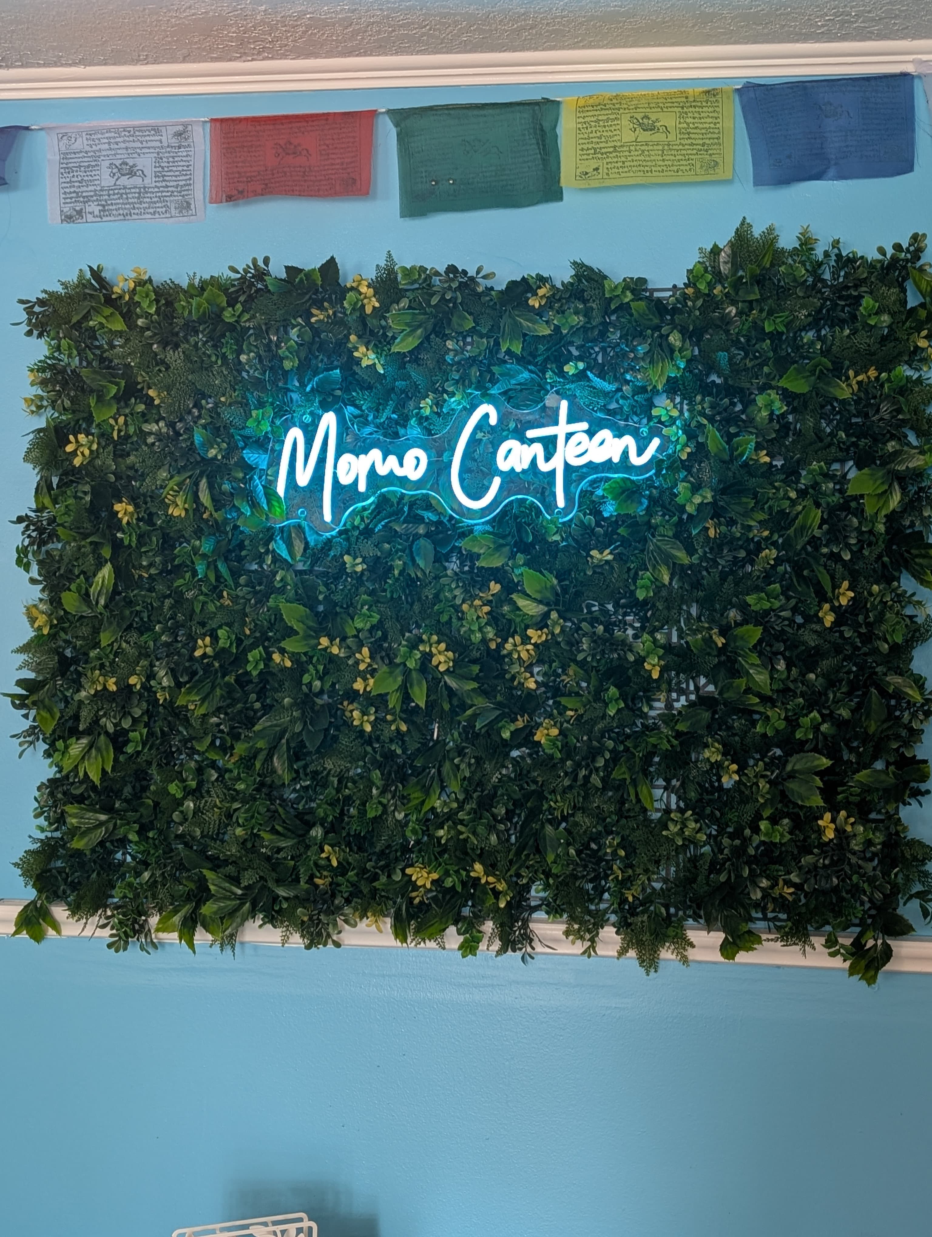 Momo Canteen Background